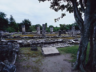 Temple of the Columns at San Gervasio Ruins - san gervasio mayan ruins,san gervasio mayan temple,mayan temple pictures,mayan ruins photos